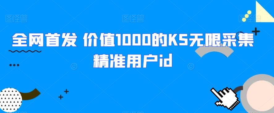全网首发 价值1000的KS无限采集精准用户id网赚项目-副业赚钱-互联网创业-资源整合AIAI创业网赚